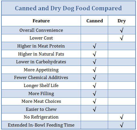 Wet Dog Food vs Dry Dog Food